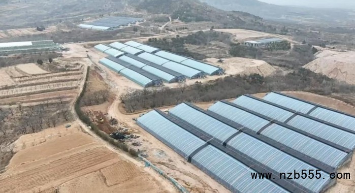 微信截圖_20250327174254