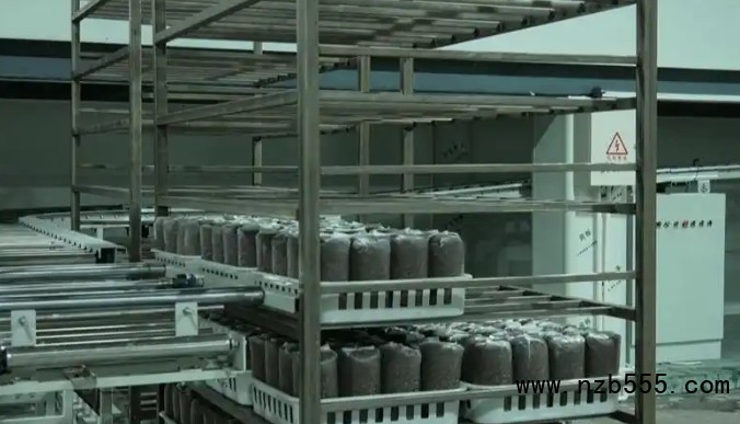 微信截圖_20250417162947