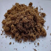 廠家供應(yīng) 膨化棉籽 反芻動物飼料