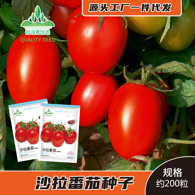 O1CN01mnBm2I29PzaU0Aq10_!!2216755278061-0-cib