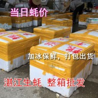 深圳牡蠣湛江生蠔批發鮮活水產海鮮新鮮臺山帶殼燒烤一箱100斤