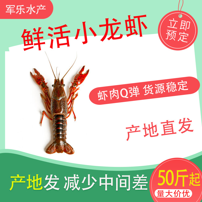 O1CN01pLD4jp1Vu8wm8cWQv_!!2212443602712-0-cib