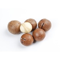 小丫快跑奶油味夏威夷果450g700g罐裝堅果干果批發(fā)代發(fā)開口手剝