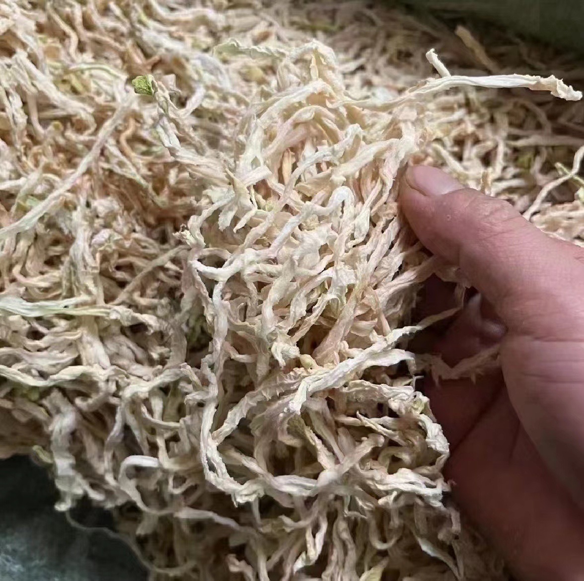 O1CN01sSEOyB1dyHYAWJe4W_!!3303313804-0-cib