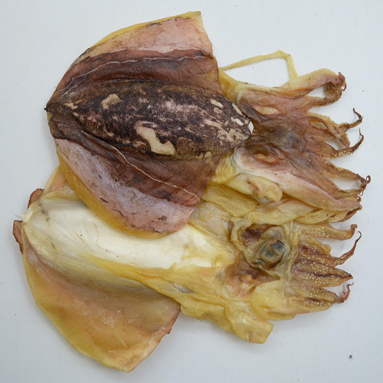 8724523083_1219679519