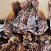 魷魚干批發阿根廷魷魚餐飲水發火鍋食材燒烤海味海鮮干貨高蛋白