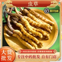 冬蟲夏草批發蟲草干貨藏區蟲草無斷條冬蟲夏草西藏挑選蟲草代發