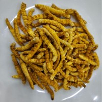 【野生蟲草】那曲冬蟲夏草蟲草干貨蟲草禮盒滋補品批發產地直供