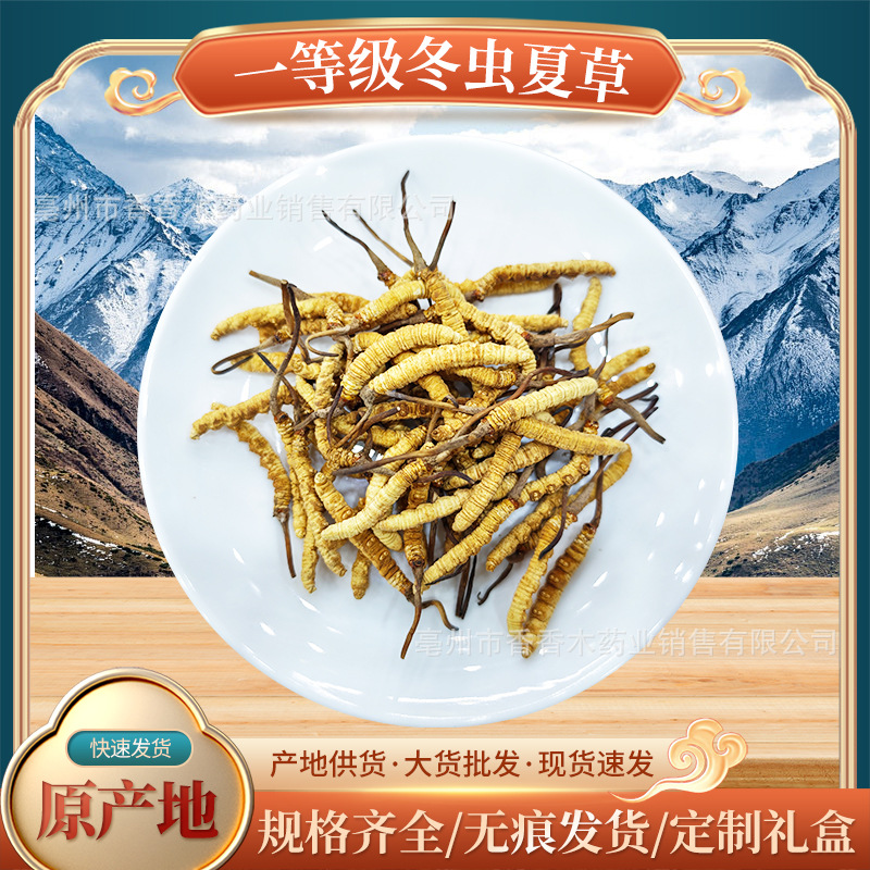 O1CN01HPmZrY23MtQMOlE9r_!!2221347837242-0-cib