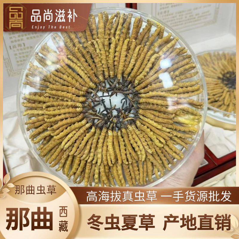 O1CN01ot83dW1TFiv4P0H1e_!!2216354822353-0-cib