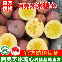 新疆阿克蘇冰糖心蘋果產地直發核心紅旗坡農場種植基地現發孕婦