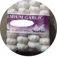 金鄉出口倉庫直發蒜頭雜交白蒜紅蒜小網袋裝新鮮紅皮白皮大蒜