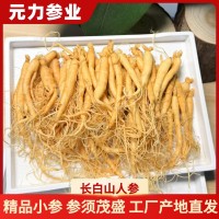 【人參批發】長白山保鮮參袋裝泡酒參火鍋煲湯廠家高麗參