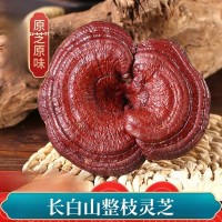 中藥材長白山原生態 整個靈芝 林芝 500克35元 有靈芝草 靈芝片