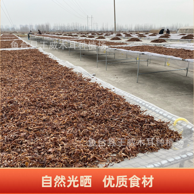 O1CN01iSUkqC2EV67C5ysYJ_!!2214606218749-0-cib