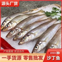 新鮮沙丁魚批發(fā)當天深海捕撈冷凍沙尖魚魚干海鮮水產(chǎn)酒店餐飲供應(yīng)