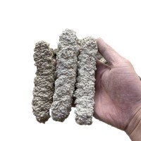 黃玉參海參水產(chǎn)干貨8-120頭王玉參海參批發(fā) 淡干刺王海參500克