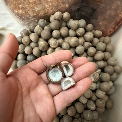 O1CN01KS4H1B1Bs32tb5gc2_!!0-0-cib