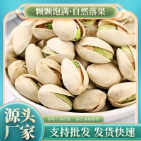 松鼠達人原色無漂白特大顆粒開心果250g散裝批貨鹽焗堅果干果零食