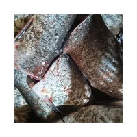 冰鮮魚花鰱魚下單即宰快速發貨冷鏈配送肉質鮮美花鰱魚尾