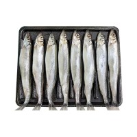冷凍托盤多春魚燒烤日料煎炸食材帶籽多春魚整箱滿籽母體多春魚
