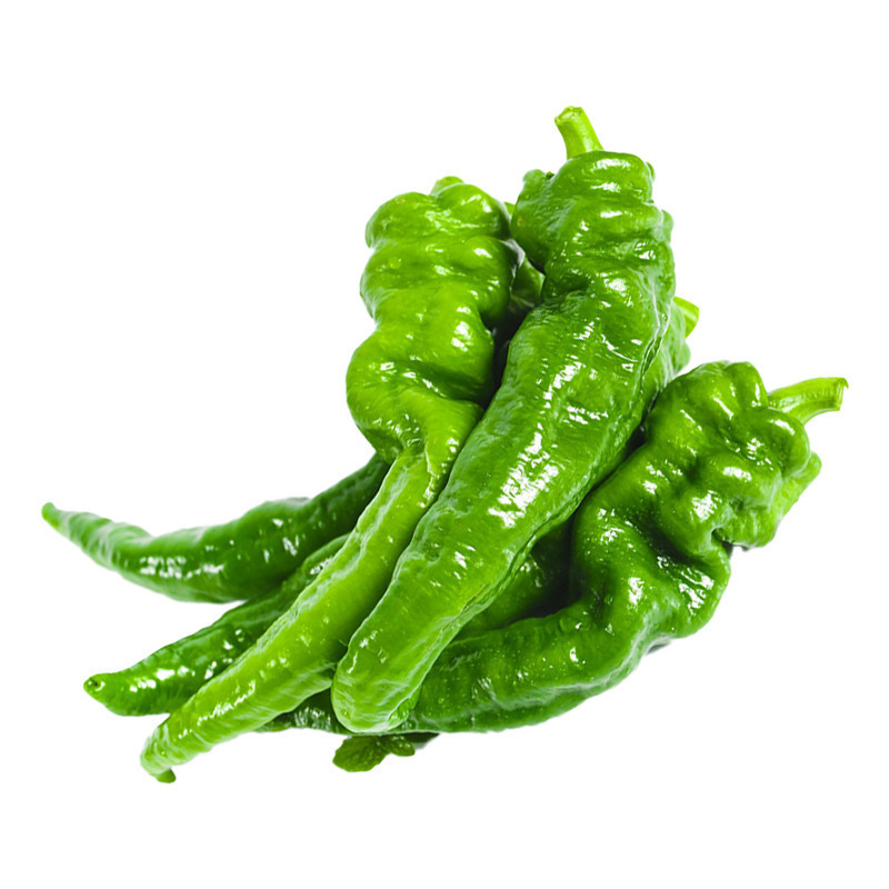 O1CN01h0yiiE1IPq0iNh2S2_!!2220613760886-0-cib