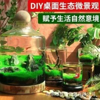 一件代發(fā)水草種子水草泥生態(tài)家用創(chuàng)意魚缸玻璃瓶水培植物四季造景