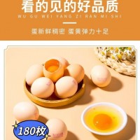 可生食富硒無抗雞蛋無激素無農殘新鮮柴現撿雞蛋180枚雞蛋批發