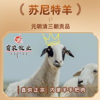 京錫林 內蒙手把肉生鮮羊肉蘇尼特羊帶骨手把肉切塊羊排錫盟羊肉